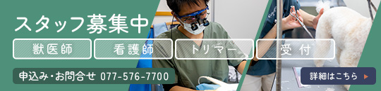 スタッフ募集中