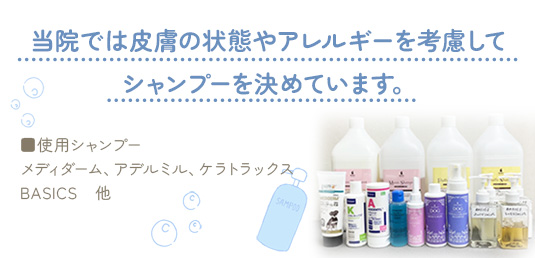 使用シャンプー