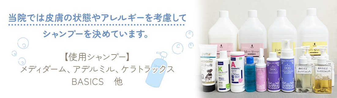 使用シャンプー