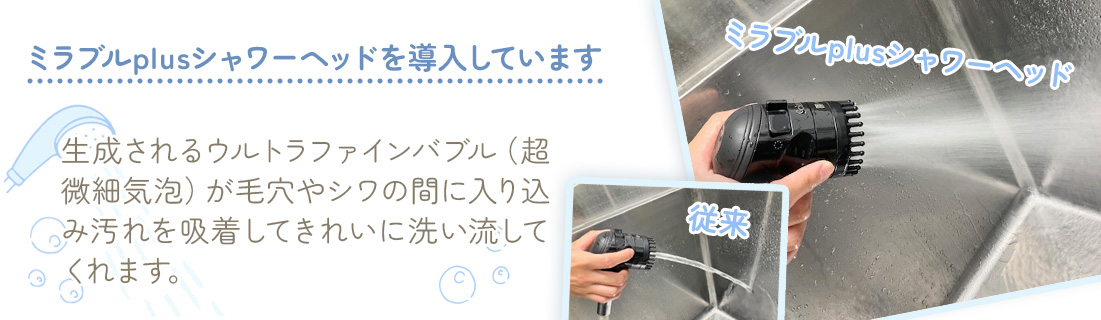 シャワーヘッド